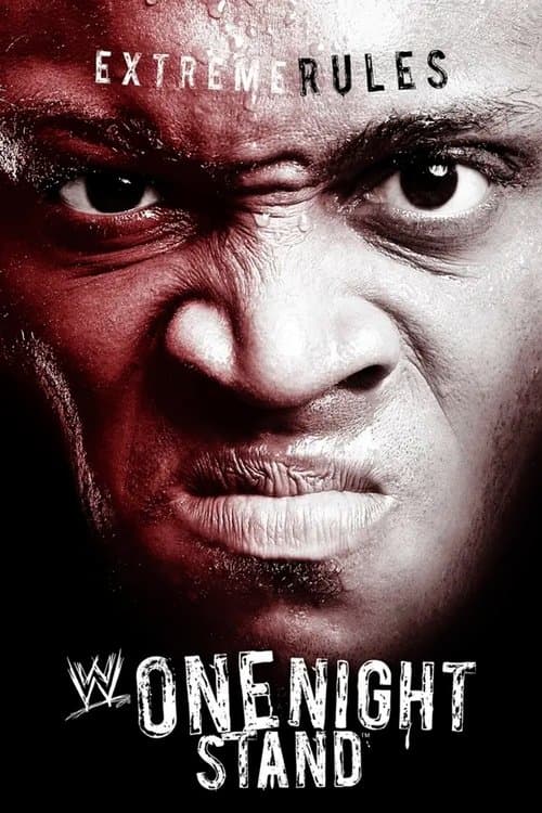 WWE One Night Stand 2007 poster